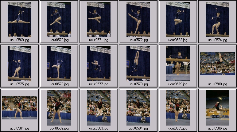ucla women's gymnastics