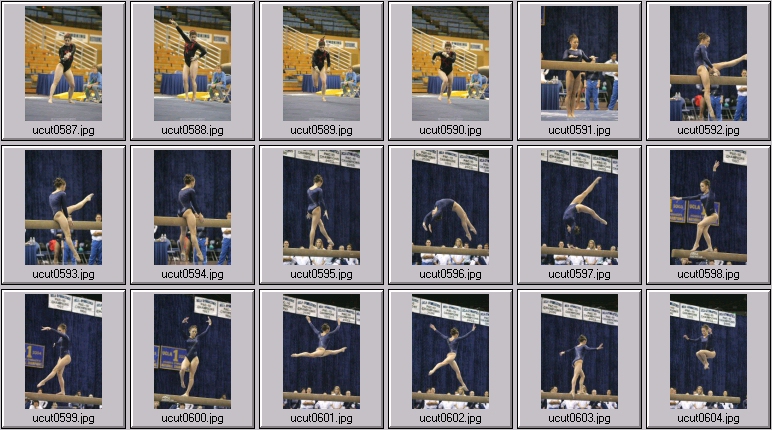 ucla women's gymnastics