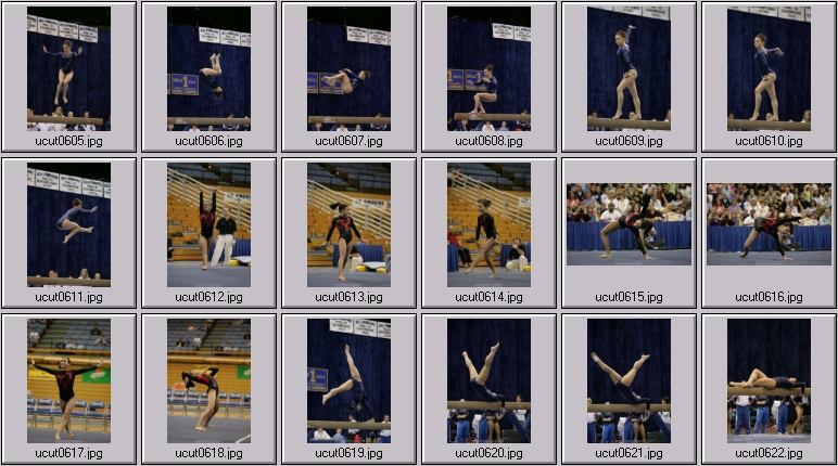 ucla women's gymnastics