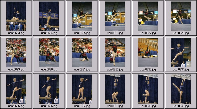 ucla women's gymnastics