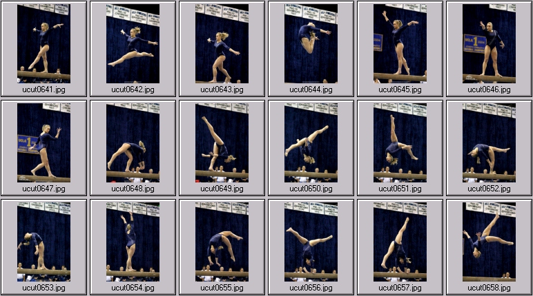 ucla women's gymnastics