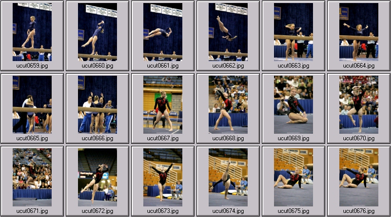 ucla women's gymnastics