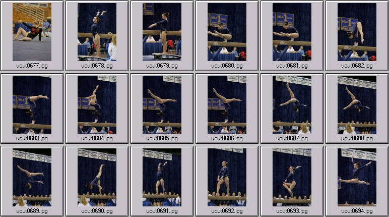 ucla women's gymnastics