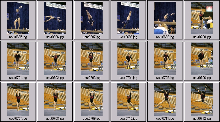 ucla women's gymnastics