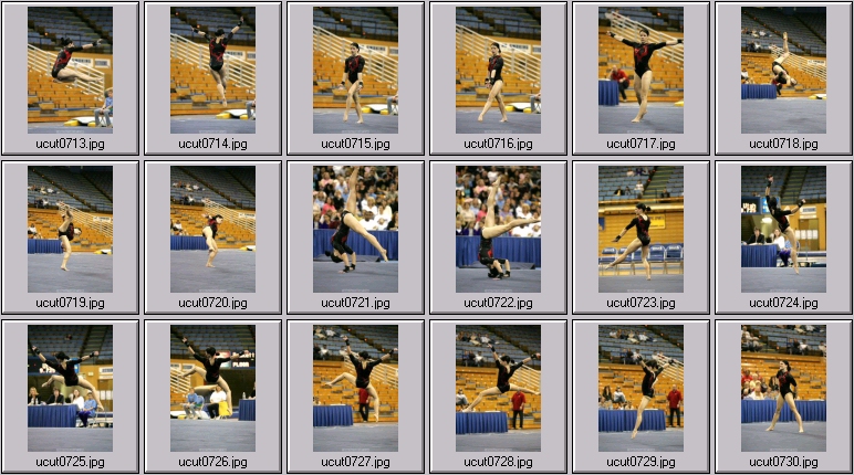 gritt hoffman utah women's gymnastics