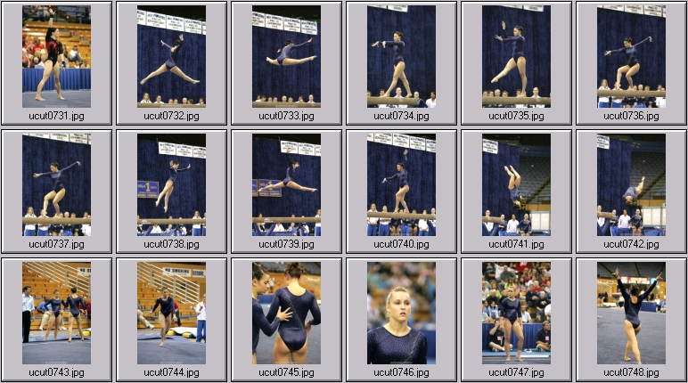 gritt hoffman utah women's gymnastics