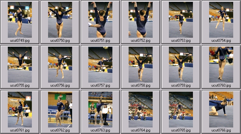 ucla women's gymnastics