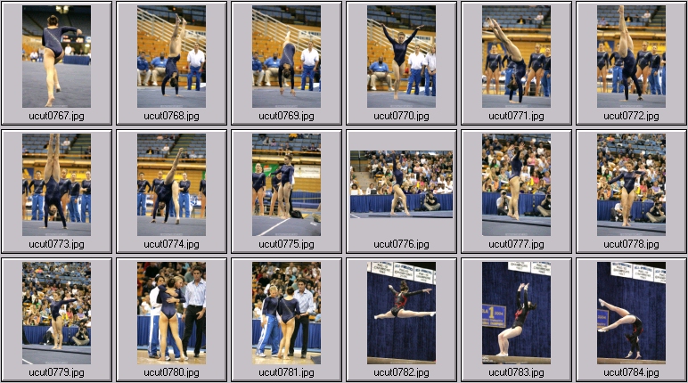 ucla women's gymnastics