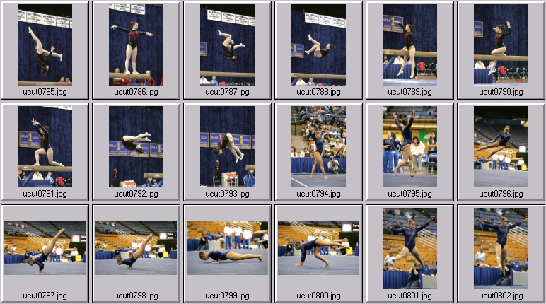 utah women's gymnastics