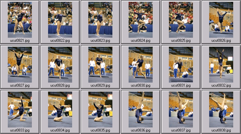 utah women's gymnastics