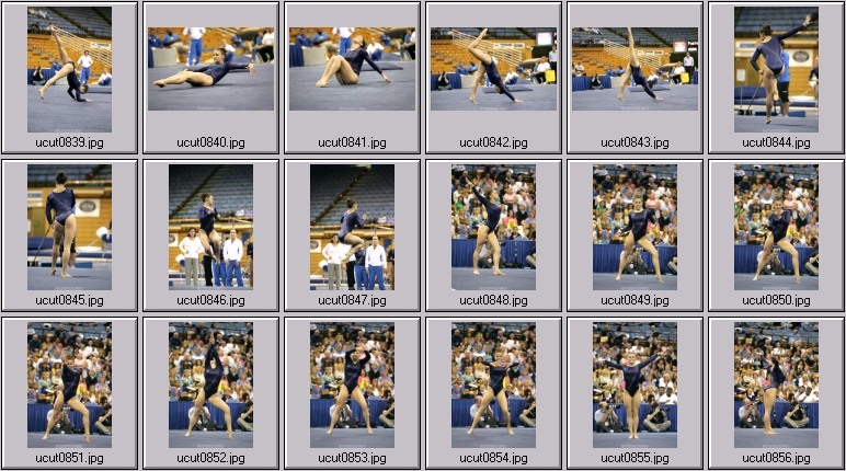 utah women's gymnastics