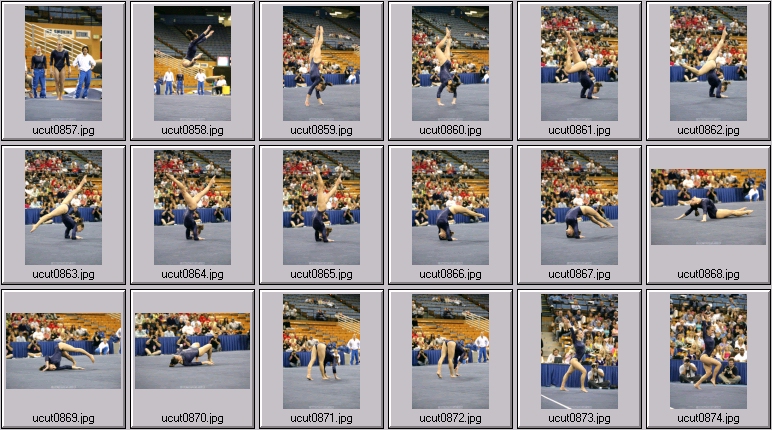 utah women's gymnastics