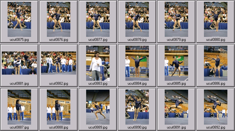 utah women's gymnastics