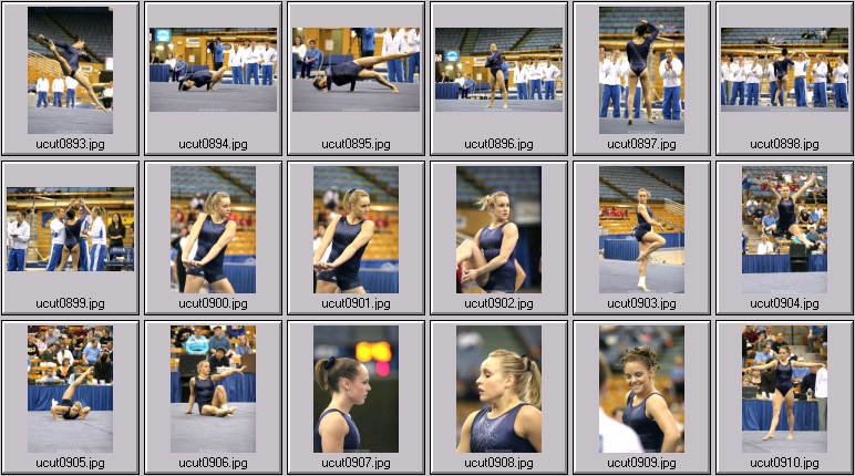 utah women's gymnastics