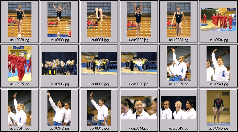 utah women's gymnastics