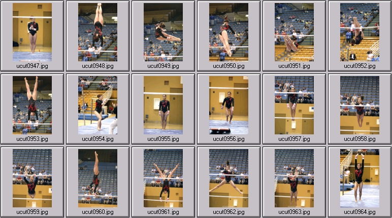 utah women's gymnastics