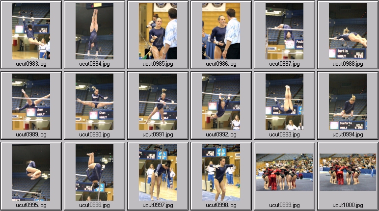 utah women's gymnastics