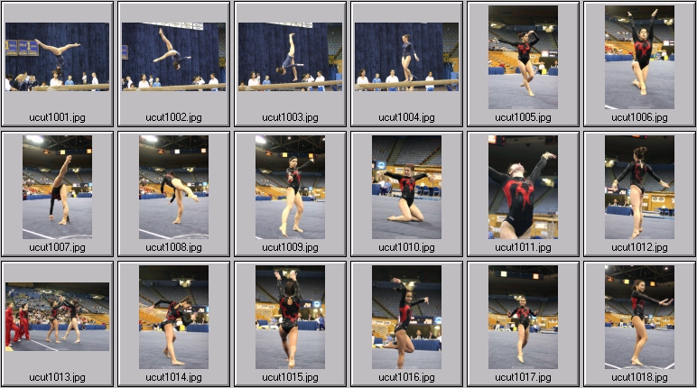 utah women's gymnastics