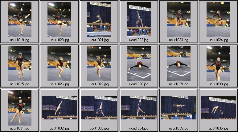 utah women's gymnastics