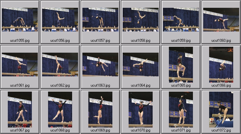 utah women's gymnastics