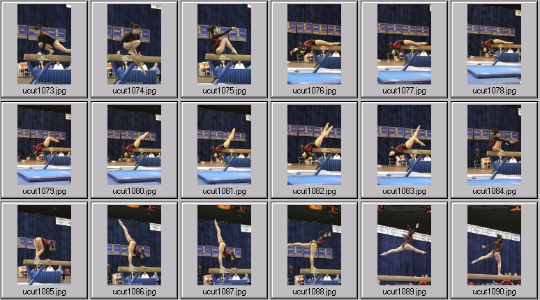 utah women's gymnastics