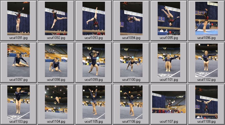 utah women's gymnastics