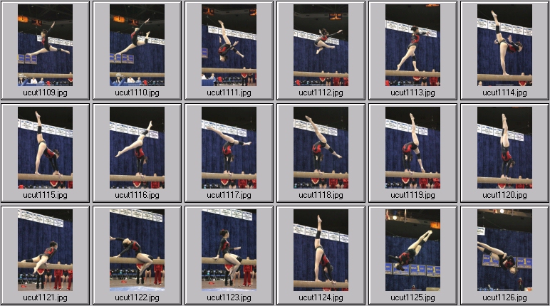 utah women's gymnastics