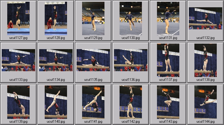utah women's gymnastics