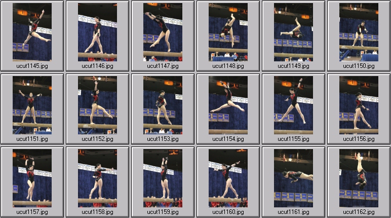 utah women's gymnastics