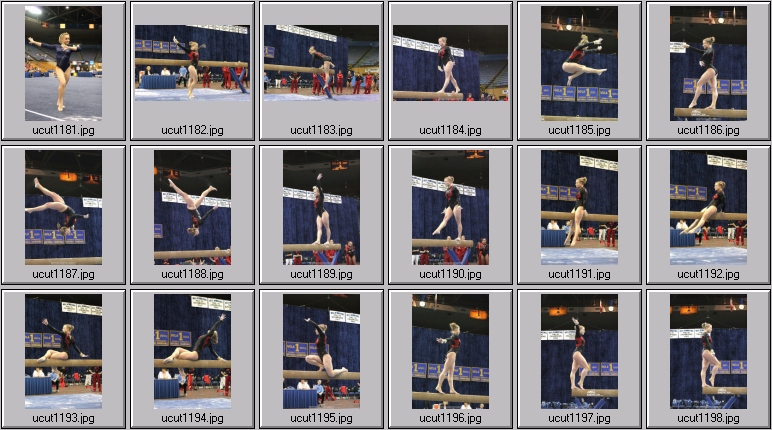 utah women's gymnastics