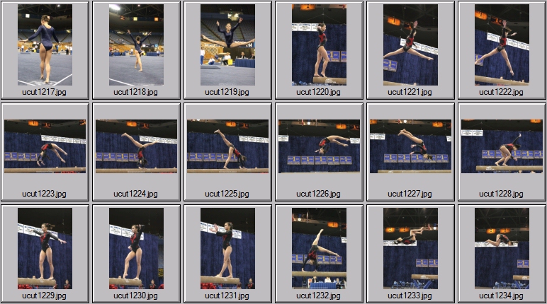 utah women's gymnastics