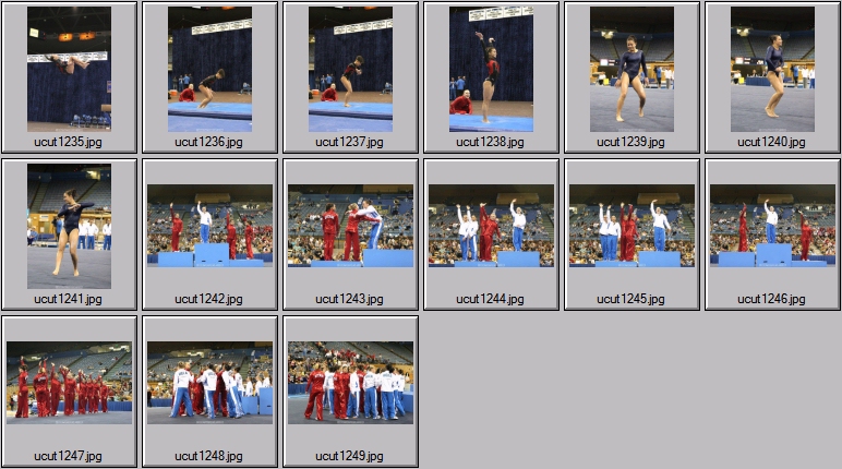 utah women's gymnastics