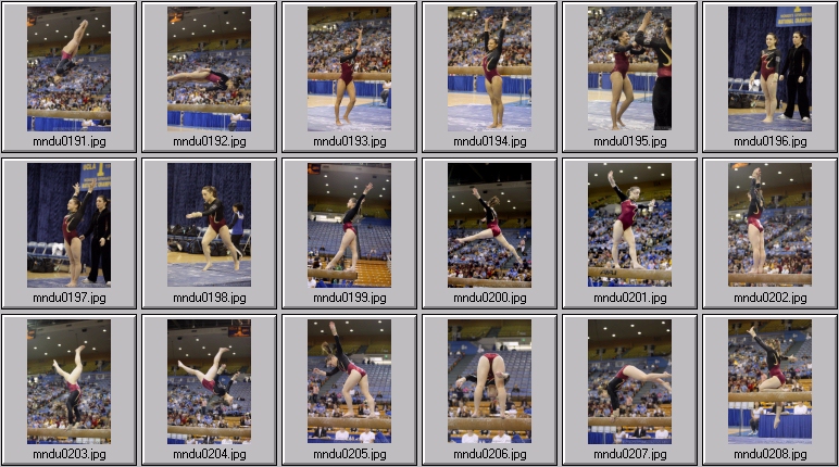 womens gymnastics