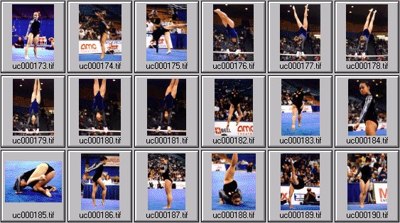 college womens gymnastics photos