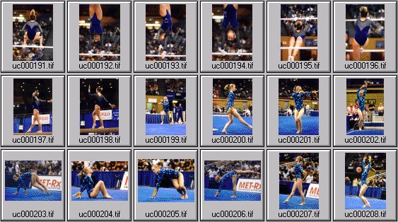college womens gymnastics photos