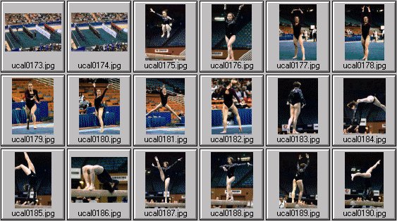 college womens gymnastics photos