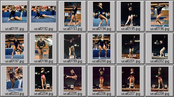 college womens gymnastics photos