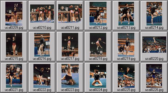 college womens gymnastics photos