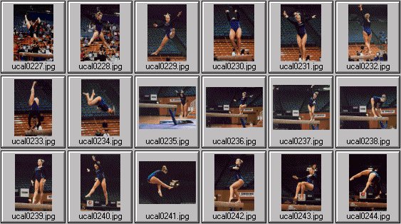 college womens gymnastics photos