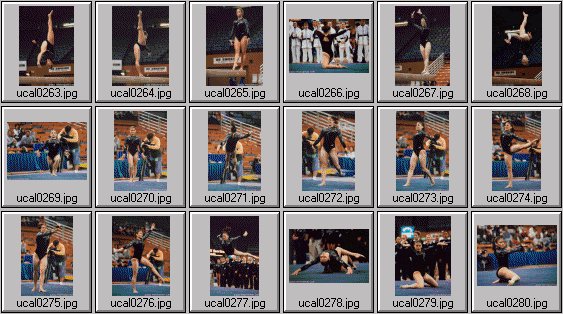 college womens gymnastics photos
