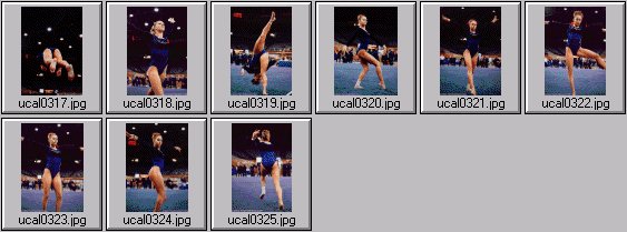 college womens gymnastics photos