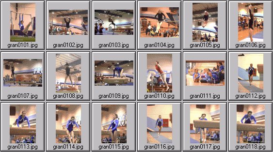 prep womens gymnastics photos