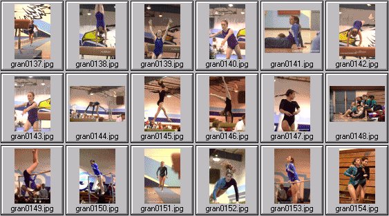 prep womens gymnastics photos