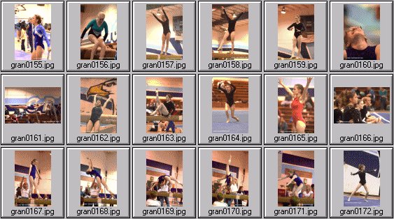prep womens gymnastics photos