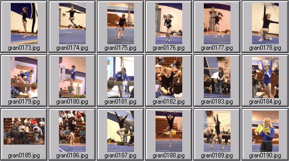 prep womens gymnastics photos