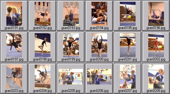 prep womens gymnastics photos