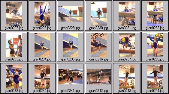 prep womens gymnastics photos