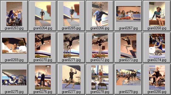 prep womens gymnastics photos