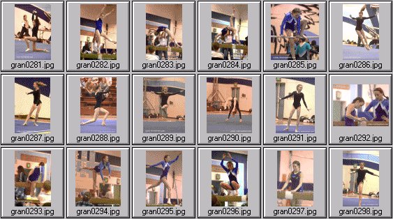 prep womens gymnastics photos