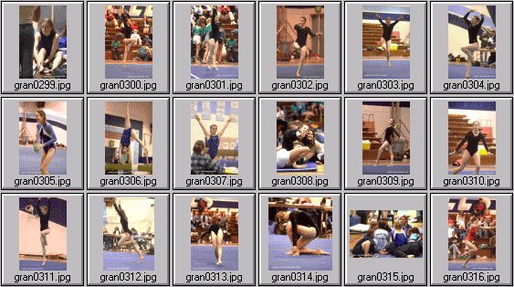 prep womens gymnastics photos